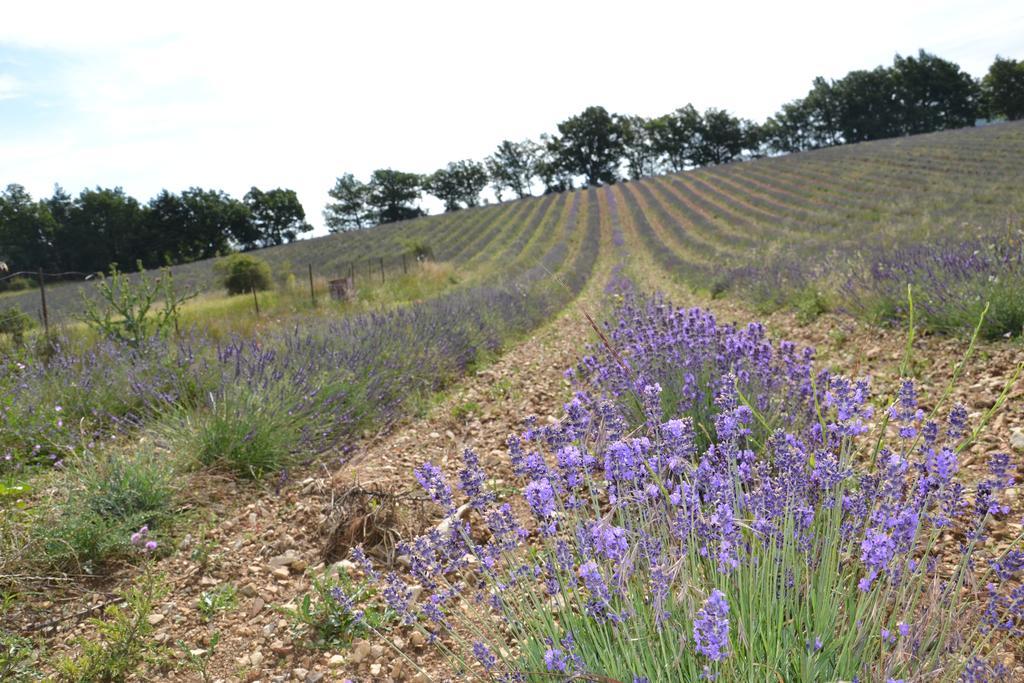 Aurel Inattendu Aurel (Vaucluse) Exterior foto